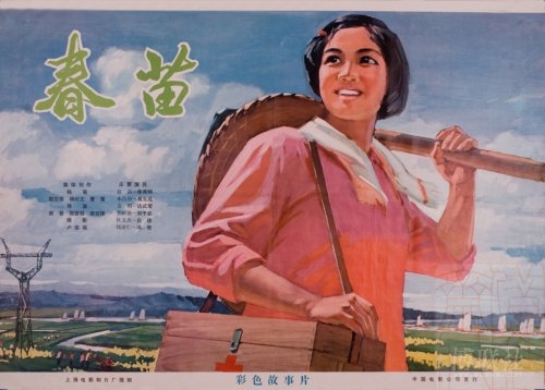 同志社大学diploma